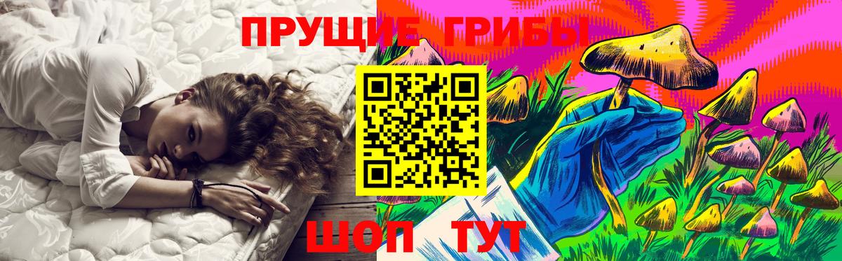 Галлюциногенные грибы Psilocybe  Псилоцибиновые грибы мицелий  Сухой Лог  где продают   Вход с VPN 